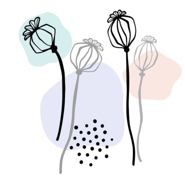 Papaver tasarımı. Haşhaş tohumu kafası çizimi. El çizimi çizimi. Çizgi çalışması. Dövme sanatı. Renkli damlaların vektör arkaplanı.