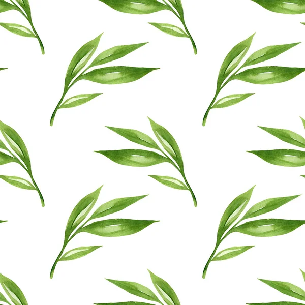 잎으로 식물학적 배경은 손으로 것이다 녹색은 흰색에 솔기없는 무늬를 남긴다 — 스톡 사진