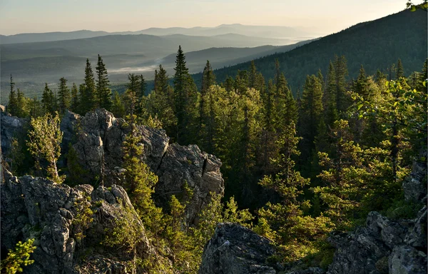 Sommaren skog och klippor — Stockfoto