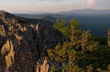 kayaların üzerinde ağaçlar