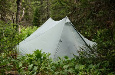 Ormanda turist çadırı