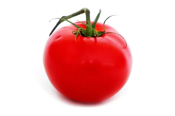 Tomate auf Weiß — Stockfoto