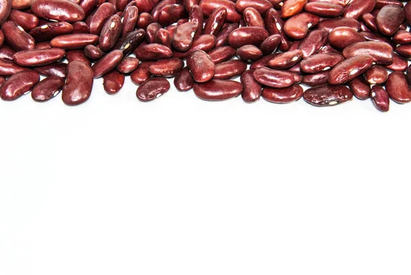 白い背景にレンズ豆の写真. — ストック写真