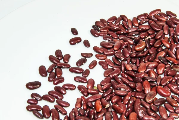 Photos of lentils on a white background. — Stock Photo, Image