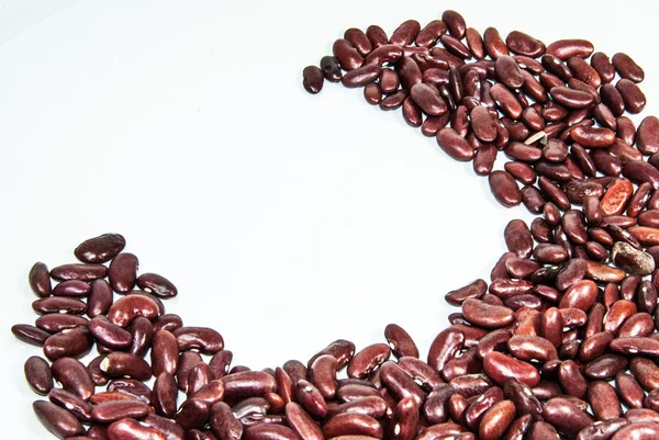 Photos of lentils on a white background. — Stock Photo, Image