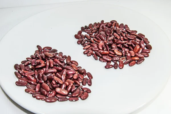 Photos of lentils on a white background. — Stock Photo, Image