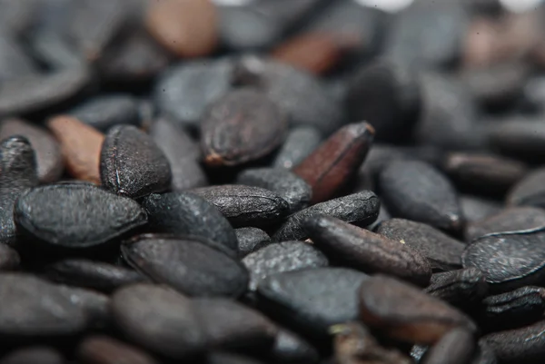 Pile of black sesame seeds isolated on white background — Stock Photo, Image