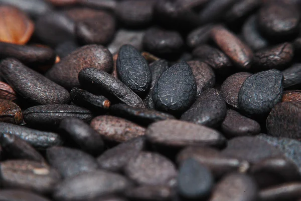 Stos nasion sezamu czarnego izolowany na białym tle — Zdjęcie stockowe