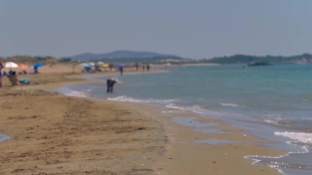 Piękna Plaża Wyspie Korfu Grecja — Wideo stockowe
