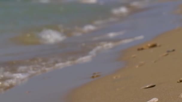 Schöner Strand Auf Der Insel Korfu Griechenland — Stockvideo