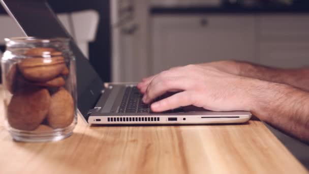 Adulto Trabajando Desde Casa Persona Escribiendo Teclado Del Ordenador Portátil — Vídeo de stock