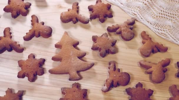 Personne Décorant Des Biscuits Pain Épice Pour Noël — Video