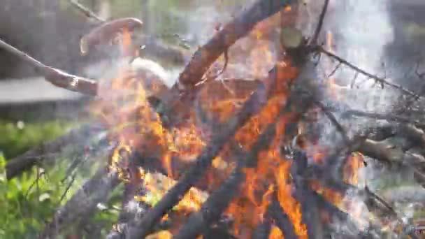Preparando Salchichas Fuego Camping Naturaleza — Vídeos de Stock