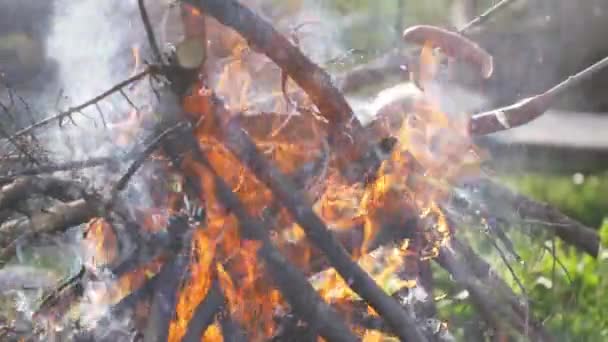 Menyiapkan Sosis Atas Api Berkemah Alam Liar — Stok Video
