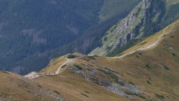 Tatry Pięknym Jesiennym Świetle — Wideo stockowe