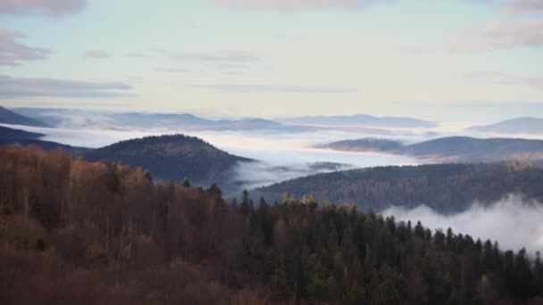 Schöne Hügellandschaft Sonnigen Herbsttagen — Stockvideo