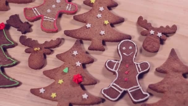 Persona Che Prepara Biscotti Pan Zenzero Natale Partenze Taglio Renne — Video Stock