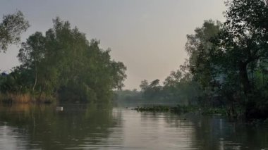 Vietnam 'daki güzel nehir manzarası