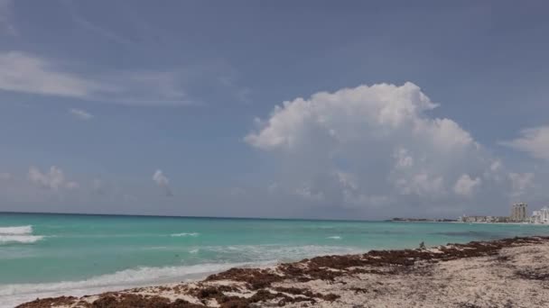 Beautiful Sandy Beach Cancun — Stock Video