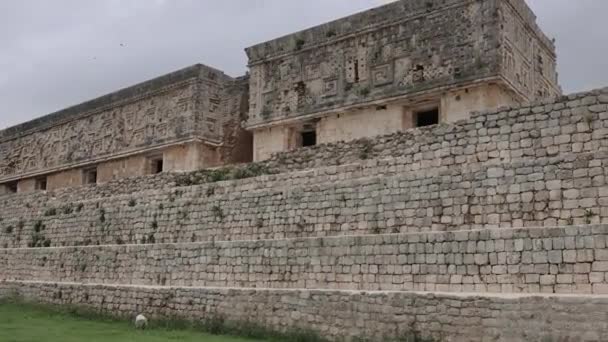 Meksika Daki Uxmal Maya Harabeleri — Stok video