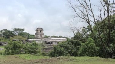 Palenque, Meksika 'daki Maya Harabeleri.