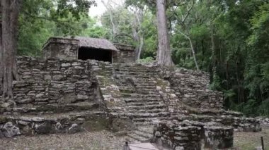 Palenque, Meksika 'daki Maya Harabeleri.