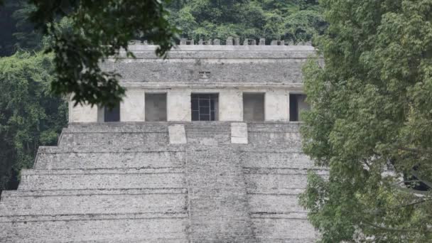 Mayan Ruins Palenque Mexico — Stock Video