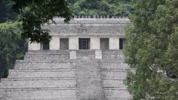 Maják Romjai Palenque Ben Mexikóban — Stock videók