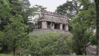 Palenque, Meksika 'daki Maya Harabeleri.