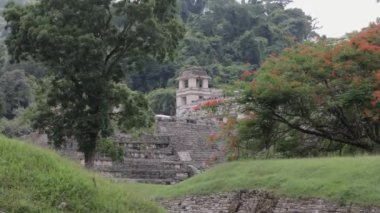 Palenque, Meksika 'daki Maya Harabeleri.
