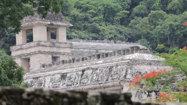 Palenque Meksika Daki Maya Harabeleri — Stok video