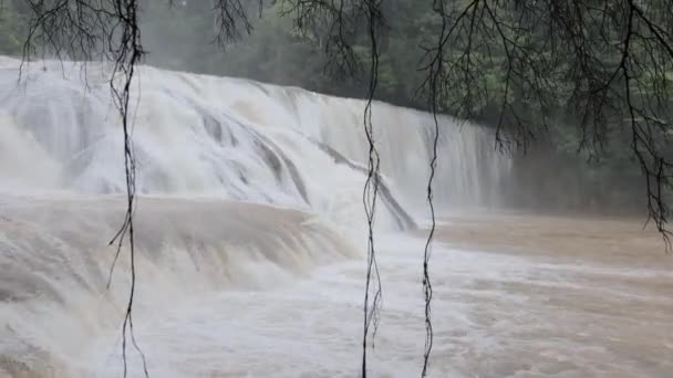 Cachoeiras Bonitas México Água Azul Vista Durante Estação Chuvosa — Vídeo de Stock