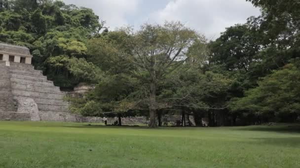 Καταστροφές Των Μάγια Στο Palenque Μεξικό — Αρχείο Βίντεο