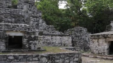 Palenque, Meksika 'daki Maya Harabeleri.