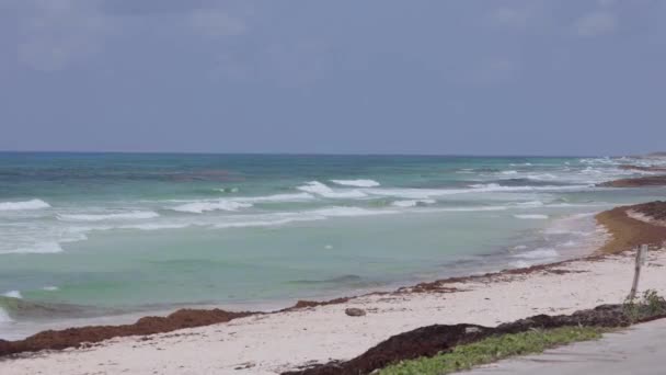 墨西哥科苏梅勒岛美丽而空旷的海滩 — 图库视频影像