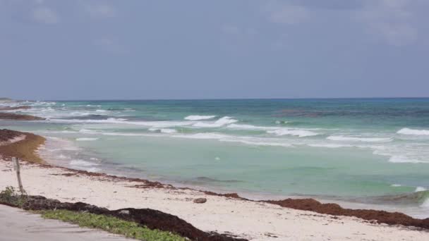 Hermosa Playa Vacía Isla Cozumel México — Vídeos de Stock