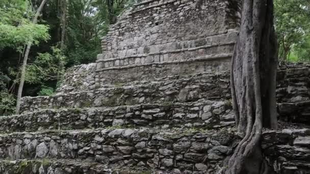 Руины Майя Паленке Мексика — стоковое видео