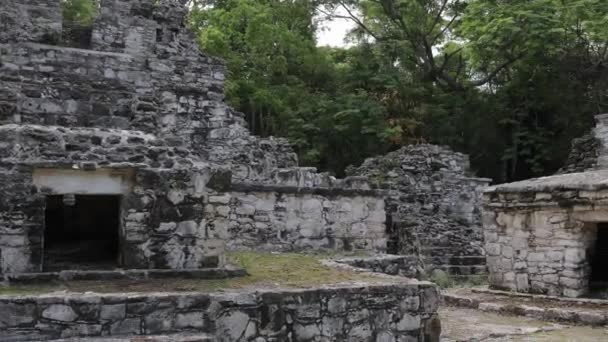 Maya Ruinen Palenque Mexiko — Stockvideo