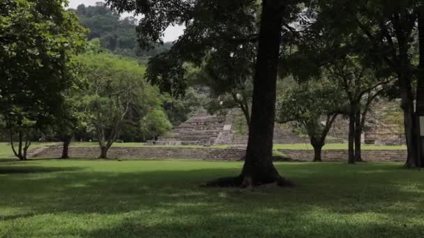 Palenque Meksika Daki Maya Harabeleri — Stok video