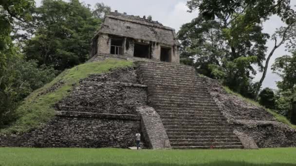 Mayské Ruiny Palenque Mexiko — Stock video