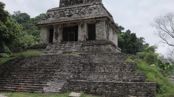 パレンケ メキシコのマヤ遺跡 — ストック動画