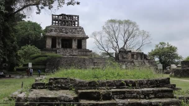 Руины Майя Паленке Мексика — стоковое видео