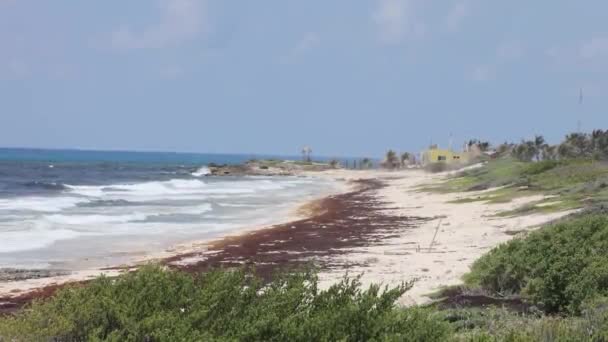 Hermosa Playa Vacía Isla Cozumel México — Vídeos de Stock