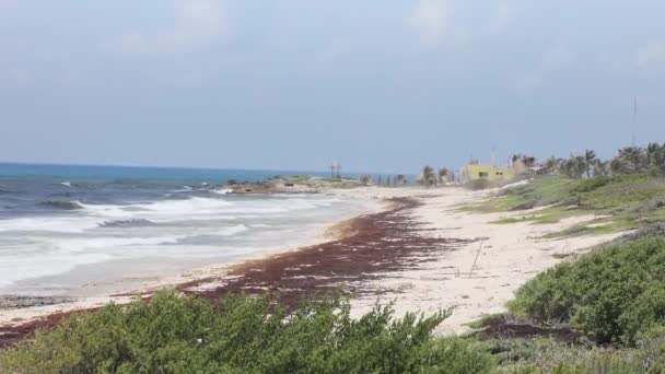 Hermosa Playa Vacía Isla Cozumel México — Vídeos de Stock