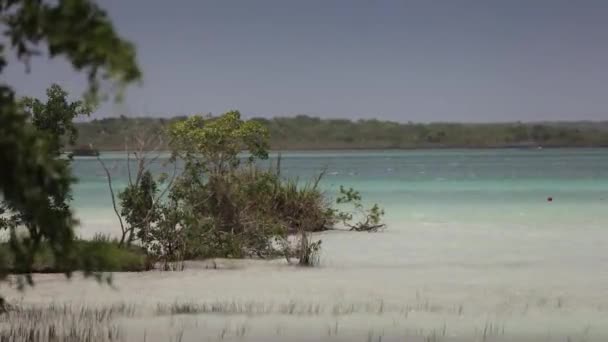 Hermosa Laguna Color Veracruz México — Vídeos de Stock