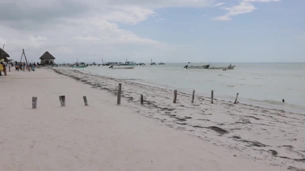 Hermosa Playa Holbox Island México — Vídeo de stock