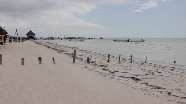 Hermosa Playa Holbox Island México — Vídeos de Stock