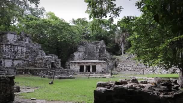 Palenque Meksika Daki Maya Harabeleri — Stok video