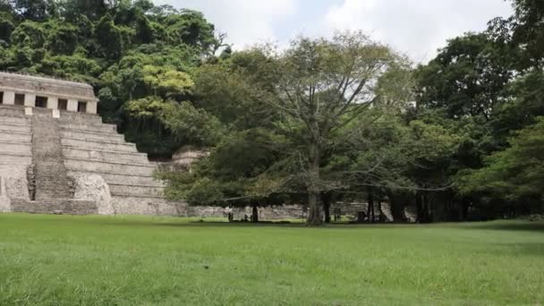 Palenque Meksika Daki Maya Harabeleri — Stok video