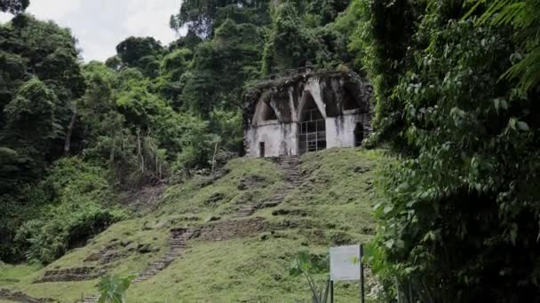 Palenque Meksika Daki Maya Harabeleri — Stok video